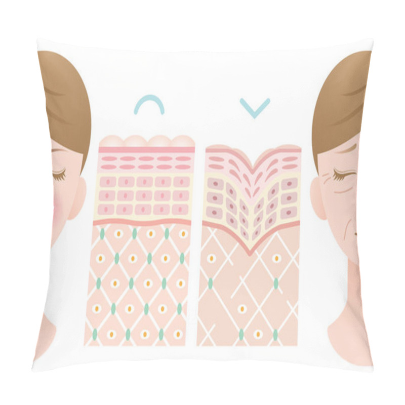 Personality  Diagrams Of Young Skin And Old Skin. Beauty And Skin Care Concept. Pillow Covers