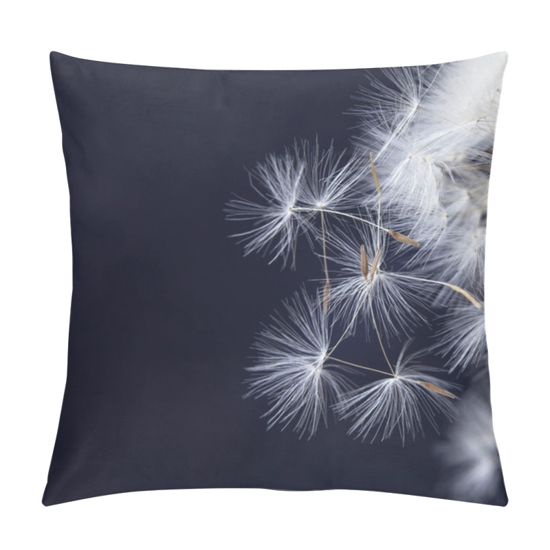 Personality  The Dandelion With Seeds Ready For Dispersal Isolated On Black Background Pillow Covers