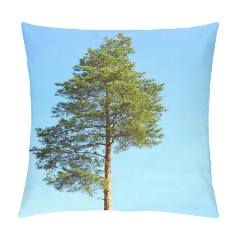 Personality  Tall Fir Tree Pillow Covers