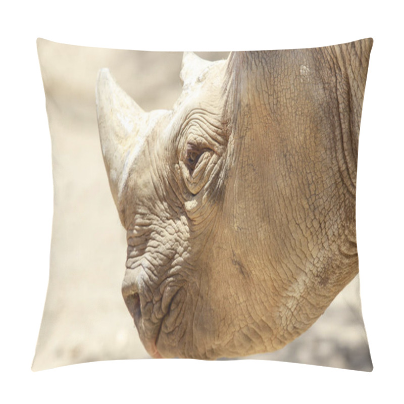 Personality  Black Rhino Head Details. The Black Rhinoceros Or Hook-lipped Rhinoceros (Diceros Bicornis) Is A Species Of Rhinoceros, Native To Eastern And Southern Africa. Pillow Covers