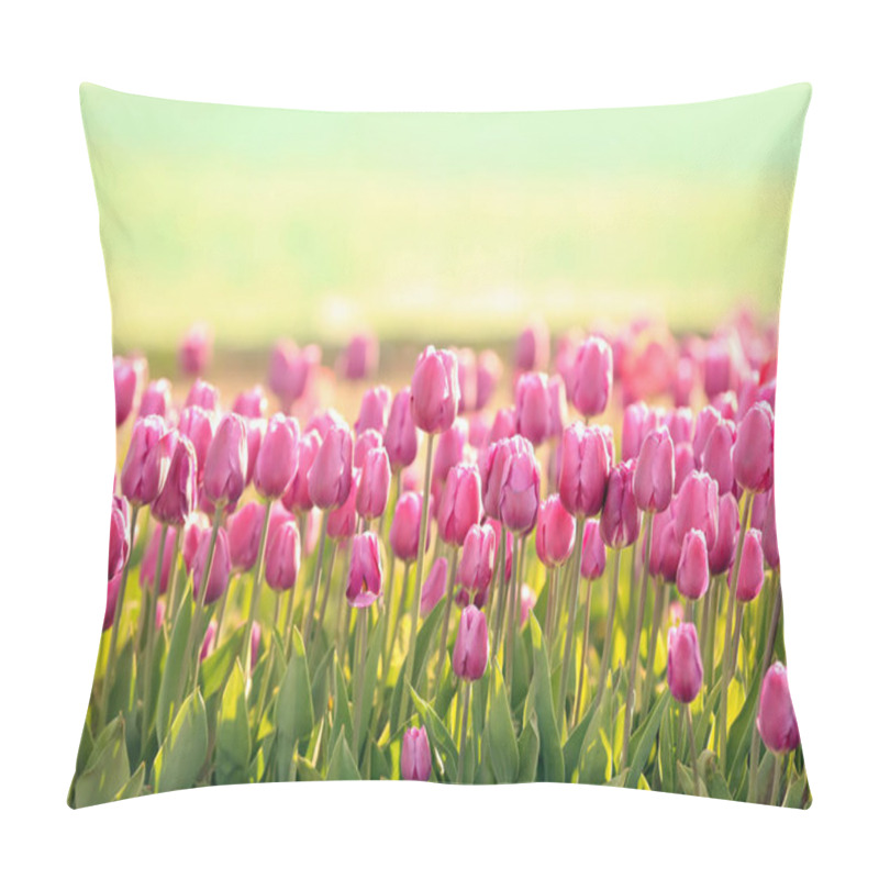 Personality  Picturesque View Of Field With Blossoming Tulips On Sunny Spring Day Pillow Covers