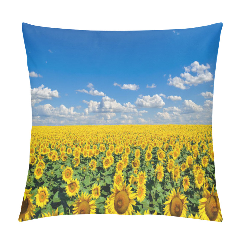 Personality  Field Of Yellow Sunflowers Against The Blue Sky Pillow Covers