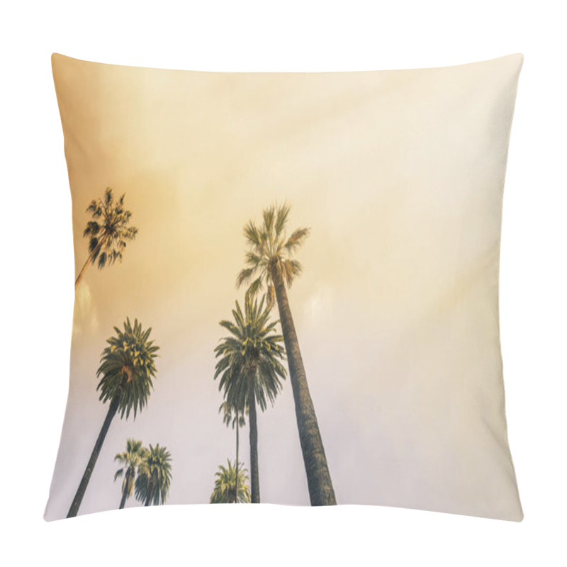 Personality  Palm Trees In Scottsdale,Arizona,USA Pillow Covers