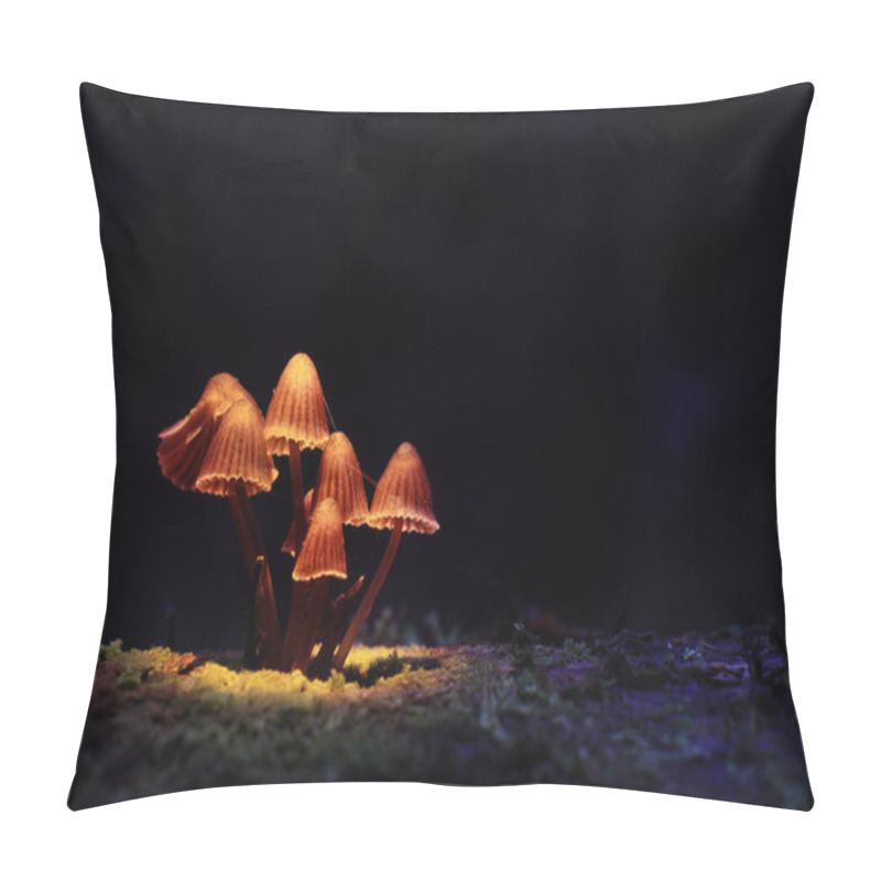 Personality  small poisonous mushrooms pillow covers