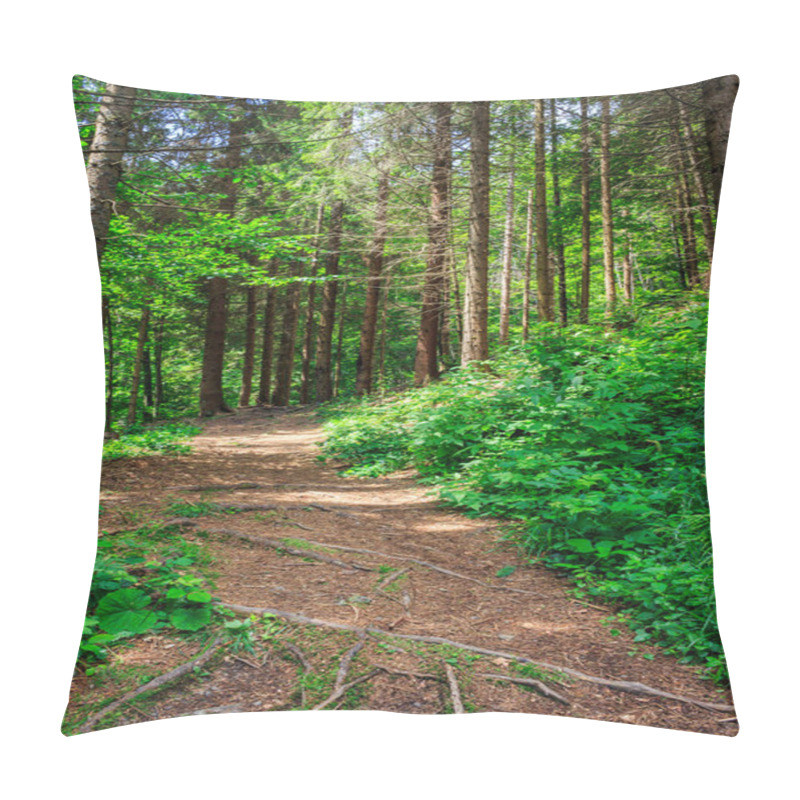 Personality  Pathway In A Forest Go Up Pillow Covers