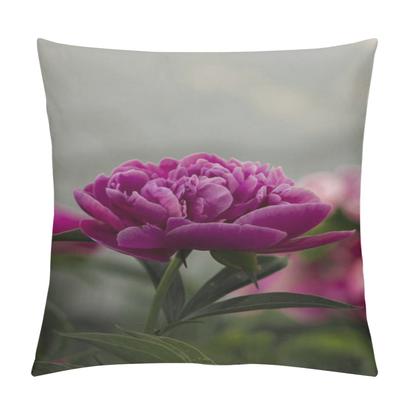 Personality  A Stunning Close-up Of A Pink Peony Flower In Full Bloom, Showcasing Its Soft Petals And Intricate Details. A Perfect Symbol Of Elegance And Natural Beauty. Pillow Covers