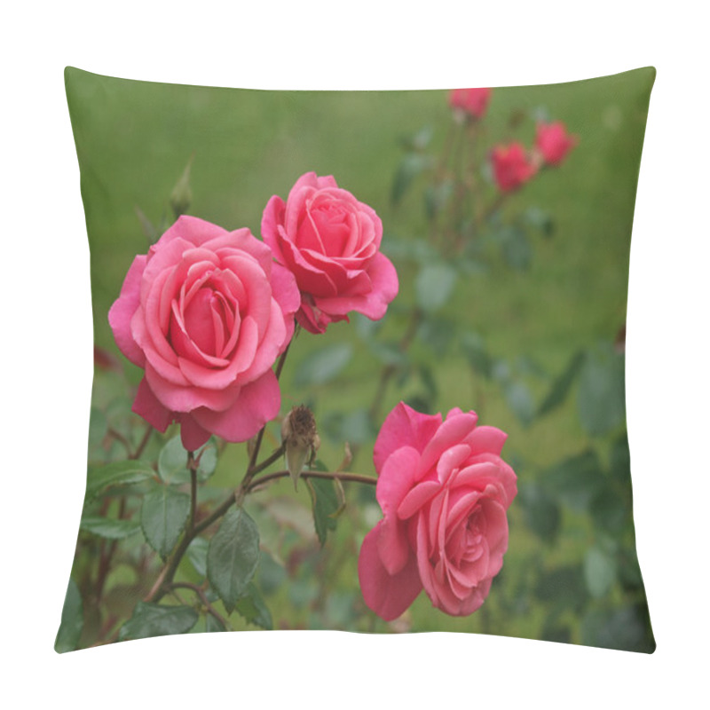 Personality  Pink Roses In The Garden Pillow Covers