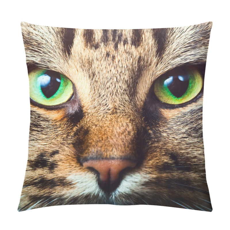 Personality  Tabby Cat Pillow Covers