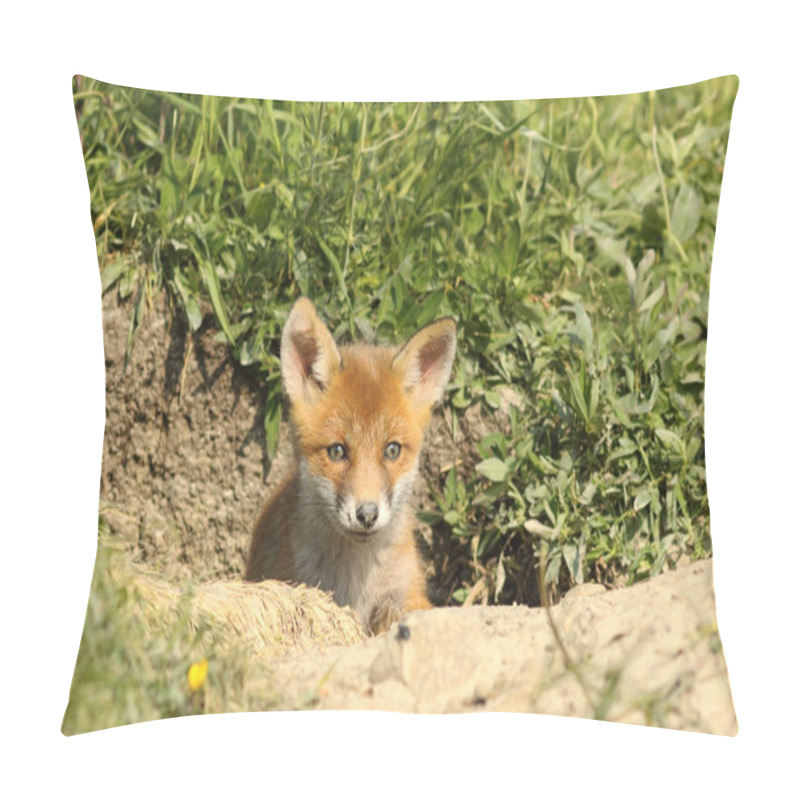 Personality  Cute Fox Cub At The Entrance Of The Den Pillow Covers