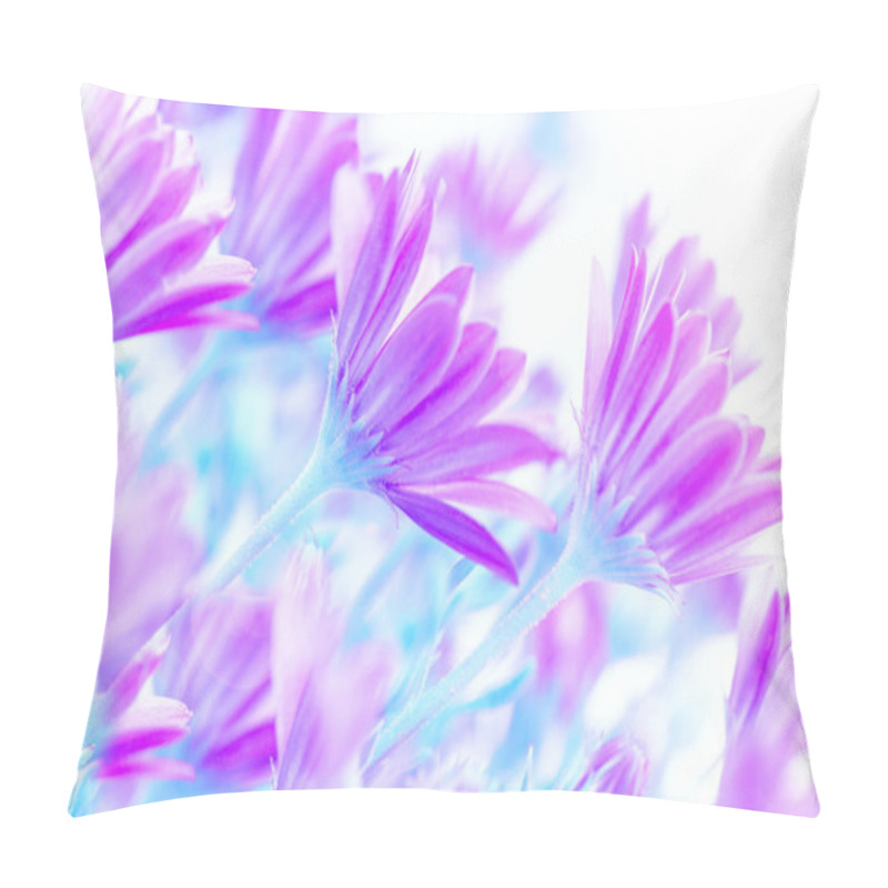 Personality  Fresh Daisy Flowers Pillow Covers