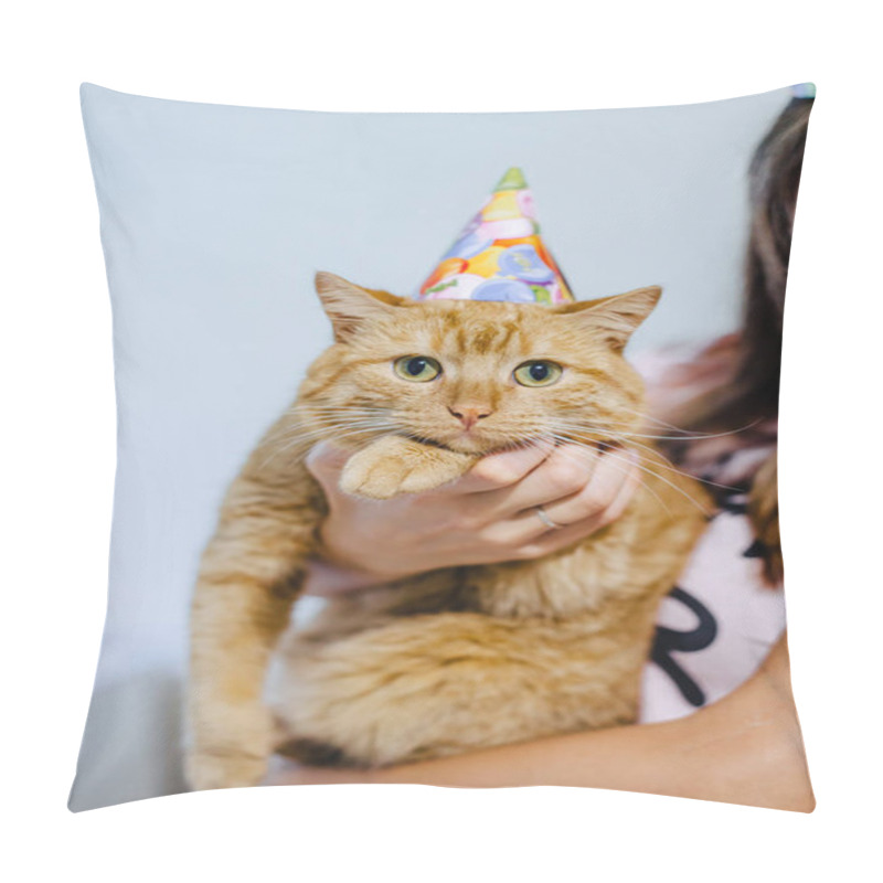 Personality  Cat In A Festive Cap Pillow Covers