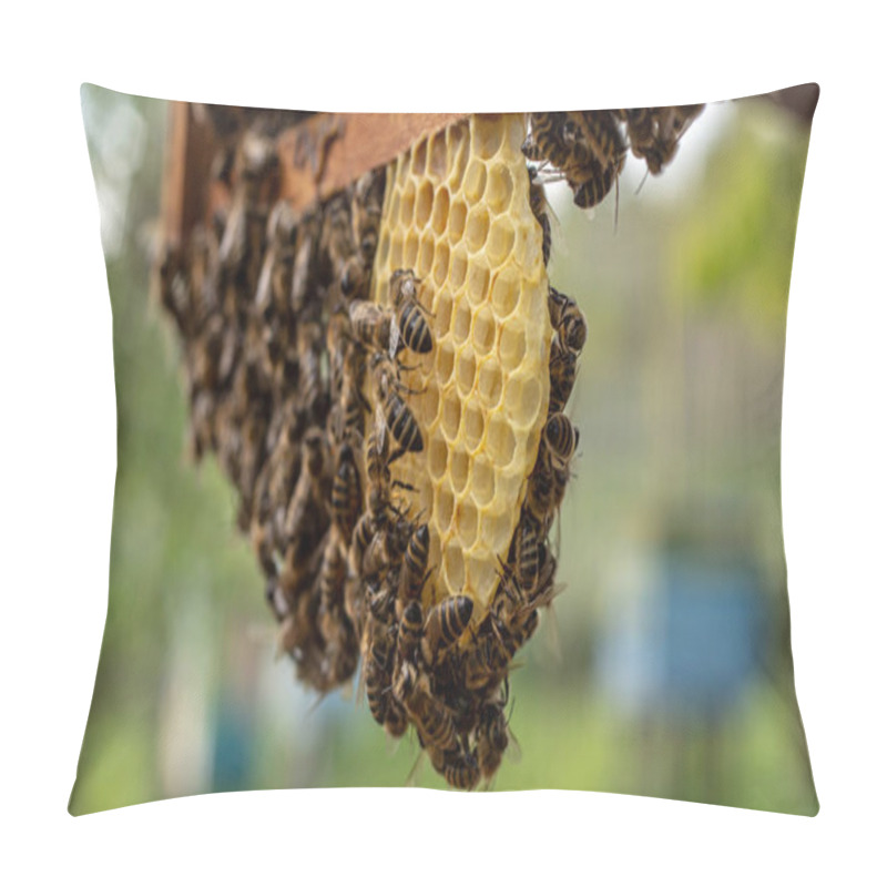 Personality  The Working Bees On Honey Cells In A Hive Pillow Covers