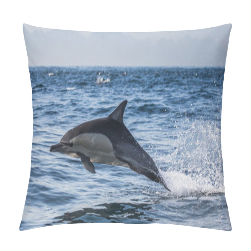 Personality  Dolphin In Blue Sea Pillow Covers