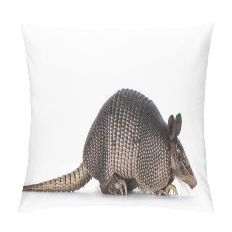 Personality  Nine Banded Armadillo Aka Dasypus Novemcinctus, Standing Side Ways. Looking Side Ways. Isolated On A White Background. Pillow Covers