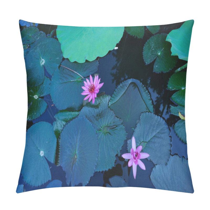 Personality  Top View Of Beautiful Pink Lotus Flowers With Green Leaves In Pond Pillow Covers