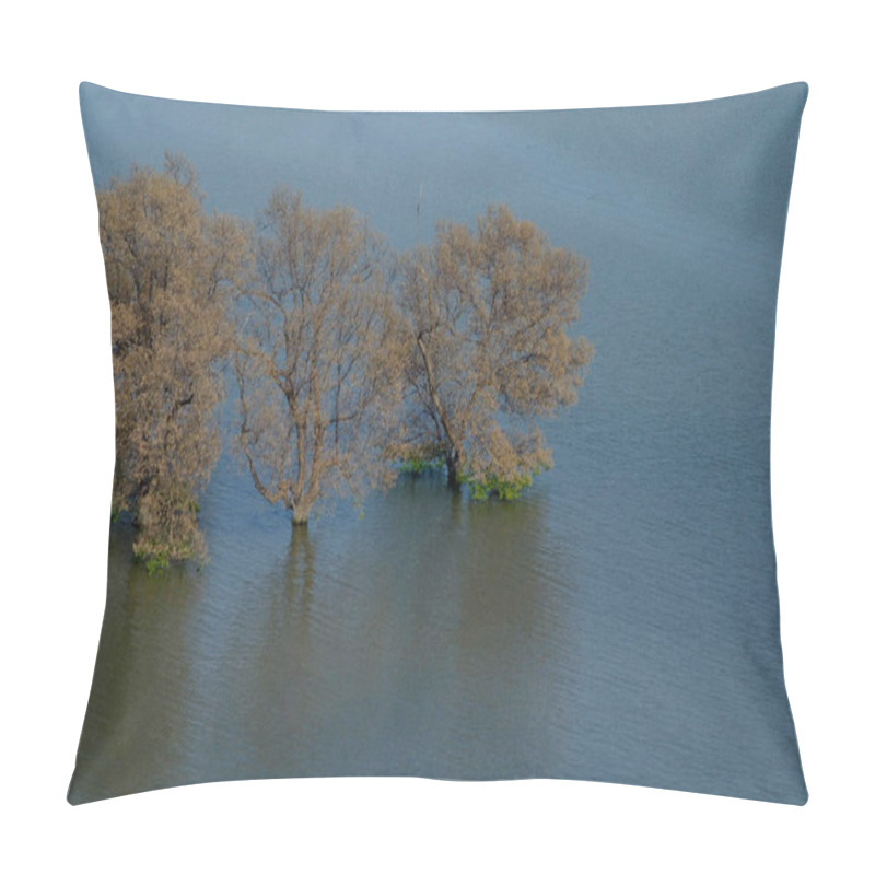 Personality  A Serene Scene Of Mangrove Trees Partially Submerged In Calm Coastal Waters, Showcasing Natural Beauty And Ecological Significance. Ideal For Projects Related To Nature Conservation, Wetlands, Environmental Themes, And Tranquil Landscapes Pillow Covers