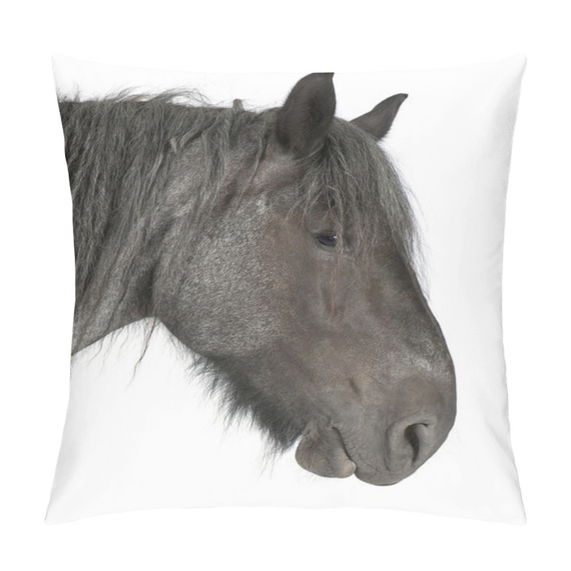 Personality  Close-up Of Belgian Horse, Close-up Of Belgian Heavy Horse, Brabancon, A Draft Horse Breed, Standing In Front Of White Background Pillow Covers