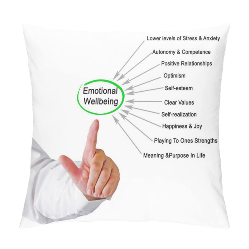 Personality  Diagram Of Emotional Wellbeing Pillow Covers