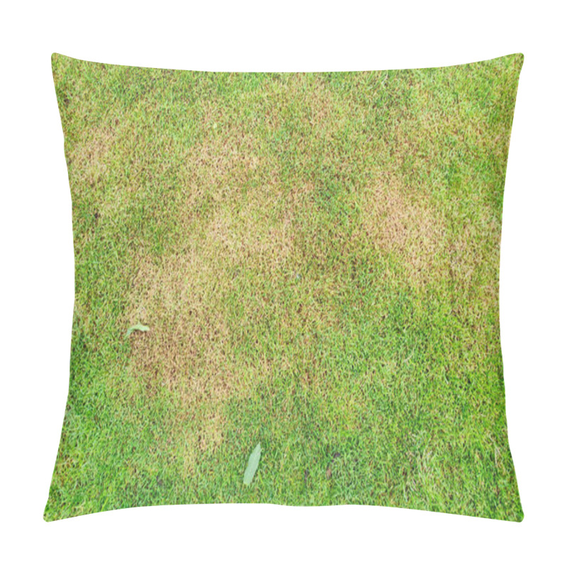 Personality  Green Lawn With Dead Spot. Disease Cause Amount Of Damage To Green Lawns, Lawn In Bad Condition. Lawn Problem Pillow Covers