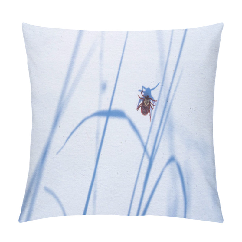 Personality  Mature American Dog Tick Crawling On White Background. These Arachnids A Most Active In Spring And Can Be Careers Of Lyme Disease Or Encephalitis Pillow Covers