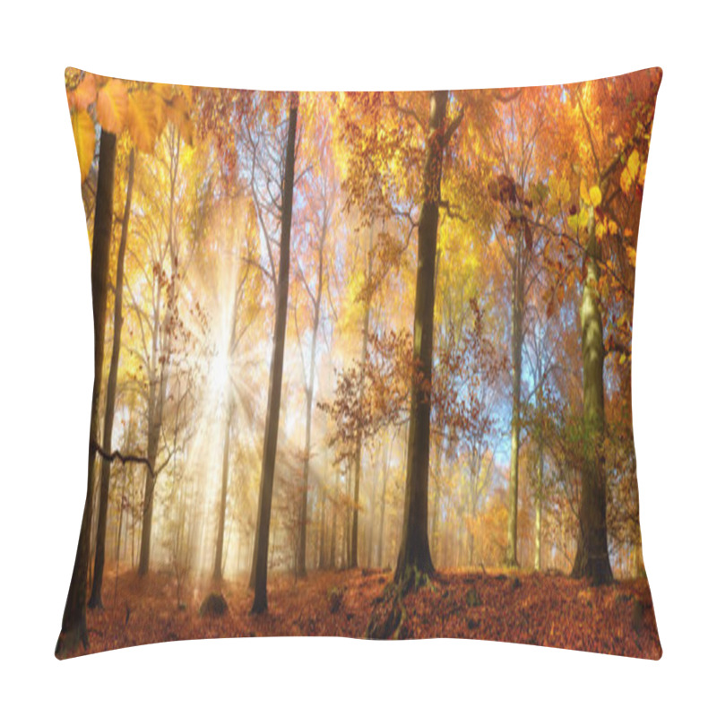 Personality  Gold Sunrays In A Misty Autumn Forest Pillow Covers