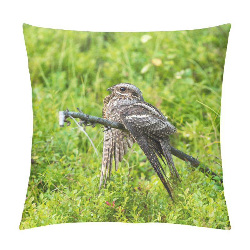 Personality  Female Nightjar Sitting On A Dry Branch Pillow Covers