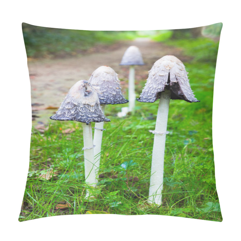 Personality  Group Ink Mushrooms Near Forest Path In Fall Pillow Covers