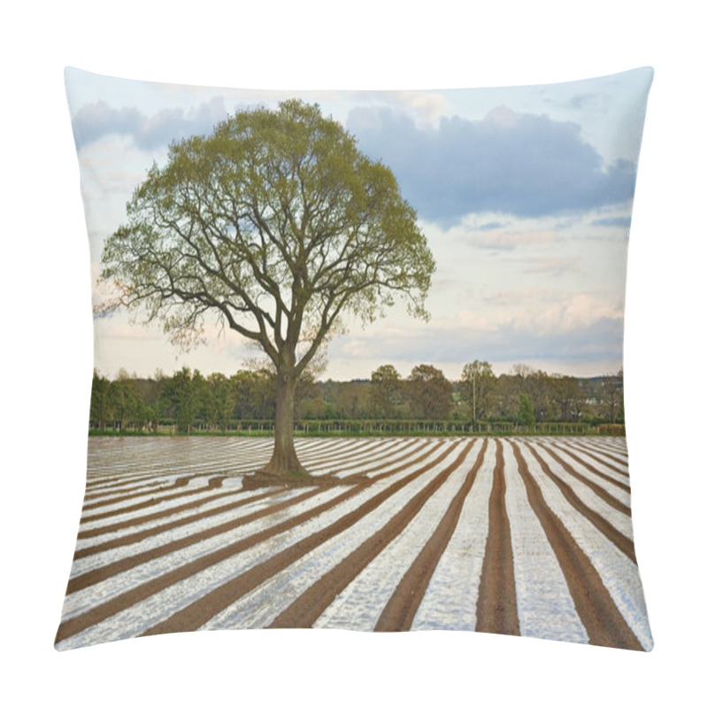 Personality  Lone Tree In Ploughed Agricultural Field Pillow Covers