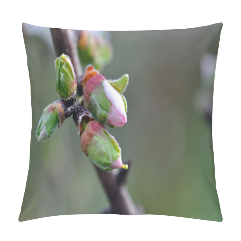 Personality  Almond Flower Buds Pillow Covers