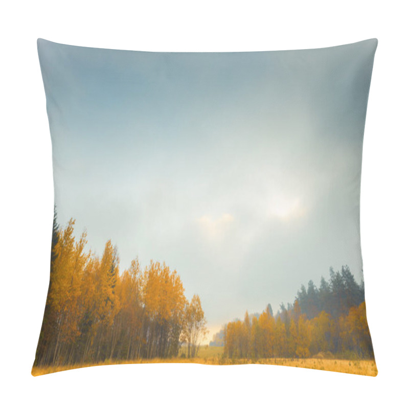 Personality  Autumn Coniferous Forest. Sunrise. Autumn Foggy Morning.  Pillow Covers