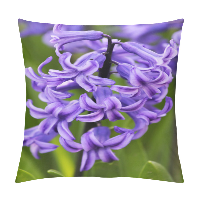 Personality  Purple Hyacinths Pillow Covers