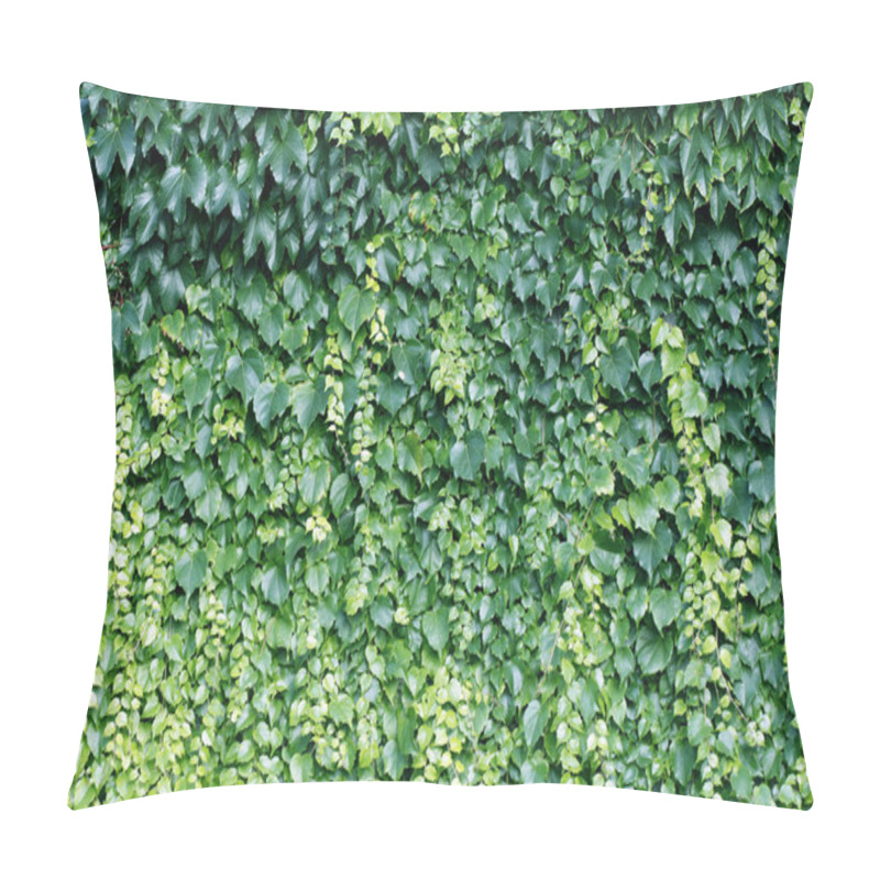 Personality  Bindweed Pillow Covers