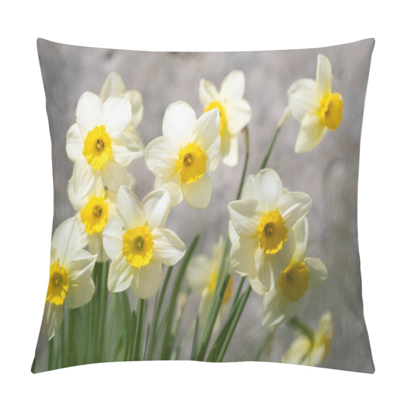 Personality  Small-cupped Daffodil With White Crown And Yellow Cup. White And Yellow Small-cupped Daffodils (Narcissus)john Evelyn Bloom In A Garden. Pillow Covers