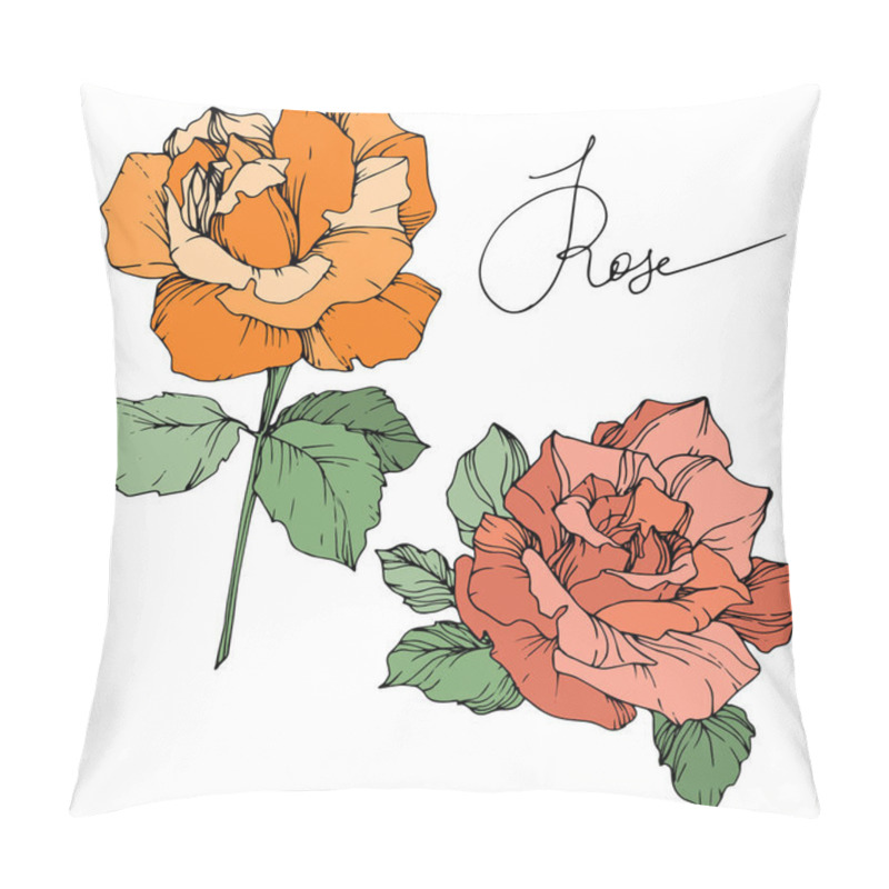 Personality  Vector. Orange And Coral Roses With Green Leaves Isolated On White Background. Engraved Ink Art. Pillow Covers