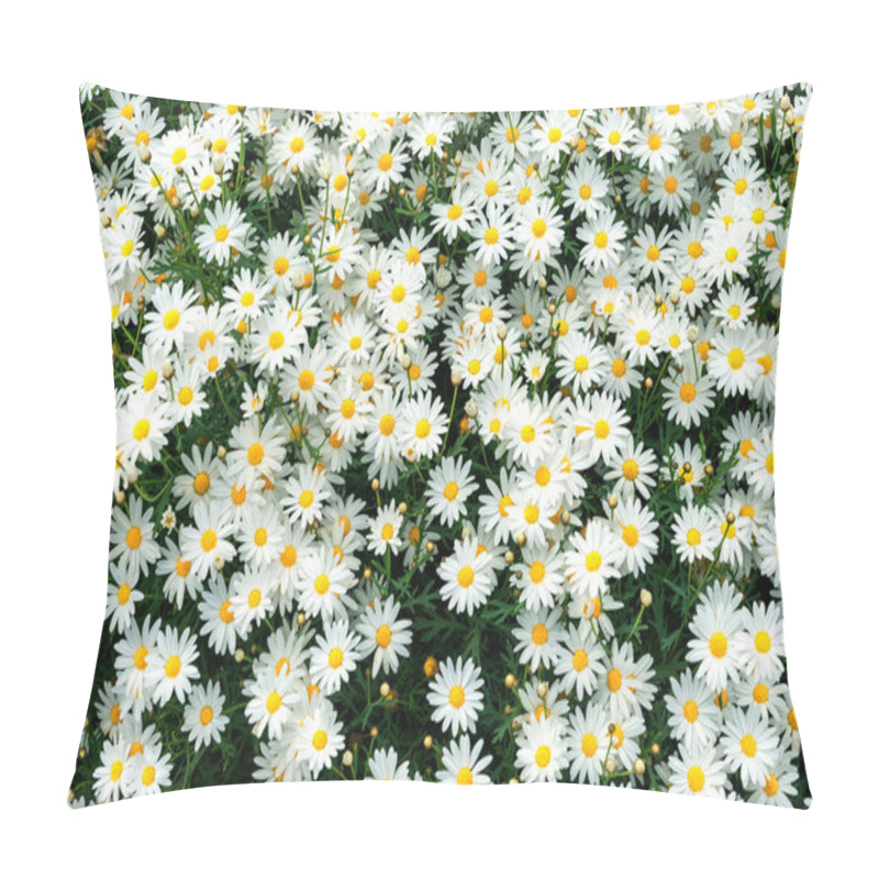 Personality  Camomile Pillow Covers