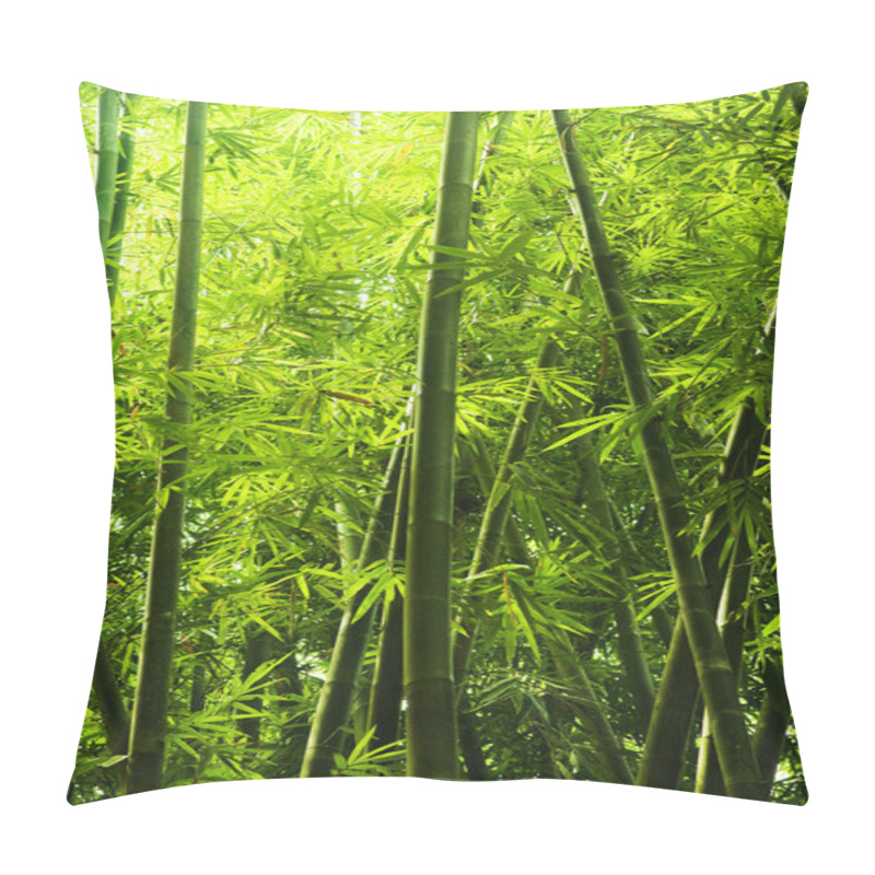 Personality  Bamboo Forest Pillow Covers