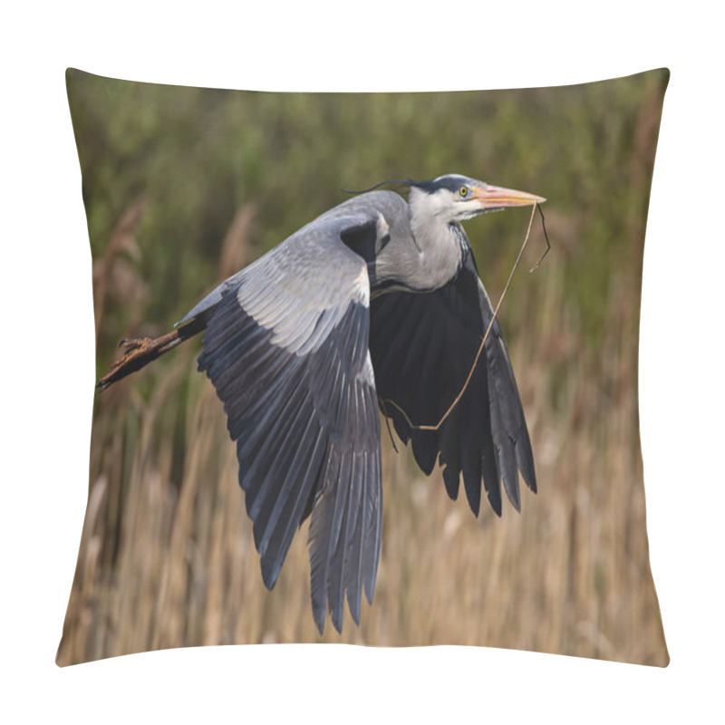 Personality  A Closeup Shot Of A Gray Heron Holding A Stick And Flying Pillow Covers