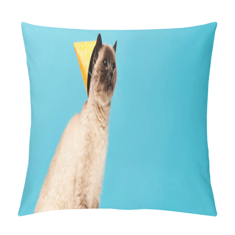 Personality  A Siamese Cat Looks Curiously At The Camera While Wearing A Bright Yellow Cone On Its Head In A Studio Setting. Pillow Covers