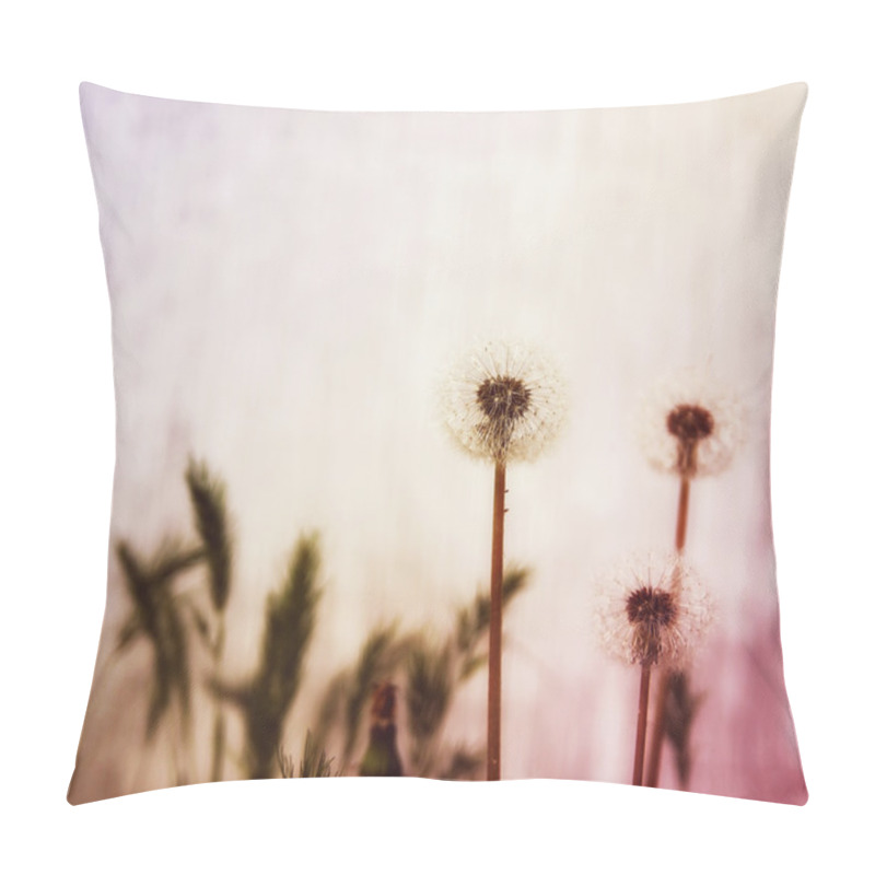 Personality  Dandelions Blooming Pillow Covers