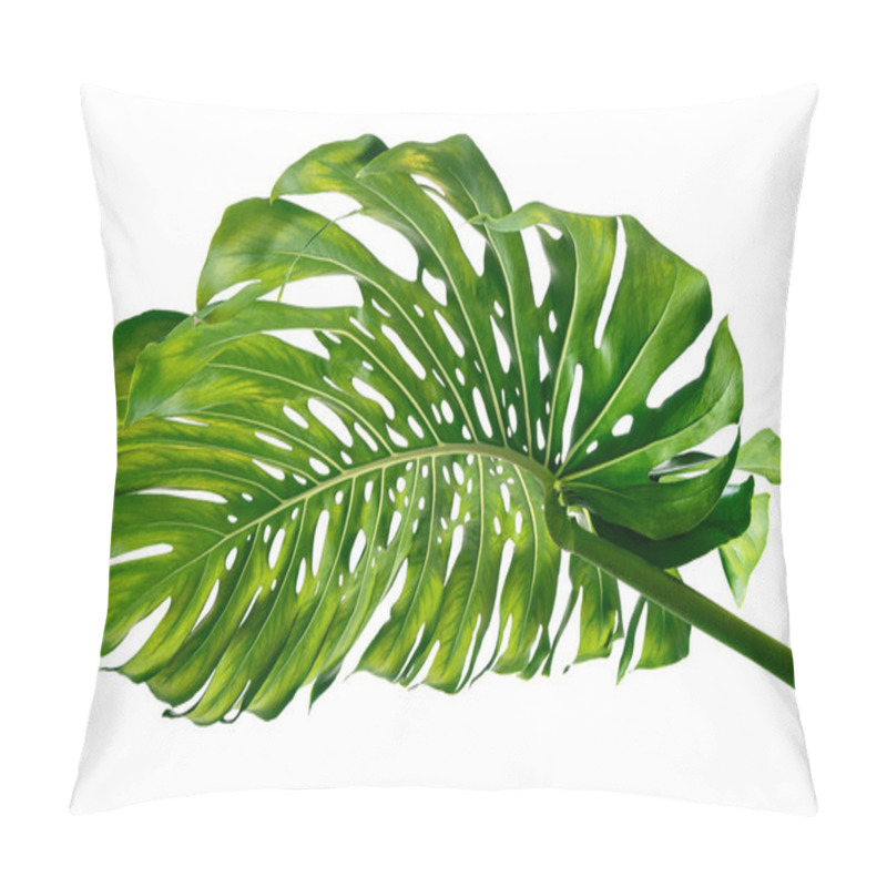 Personality  Monstera Deliciosa Leaf Or Swiss Cheese Plant, Isolated On White Background, With Clipping Path Pillow Covers