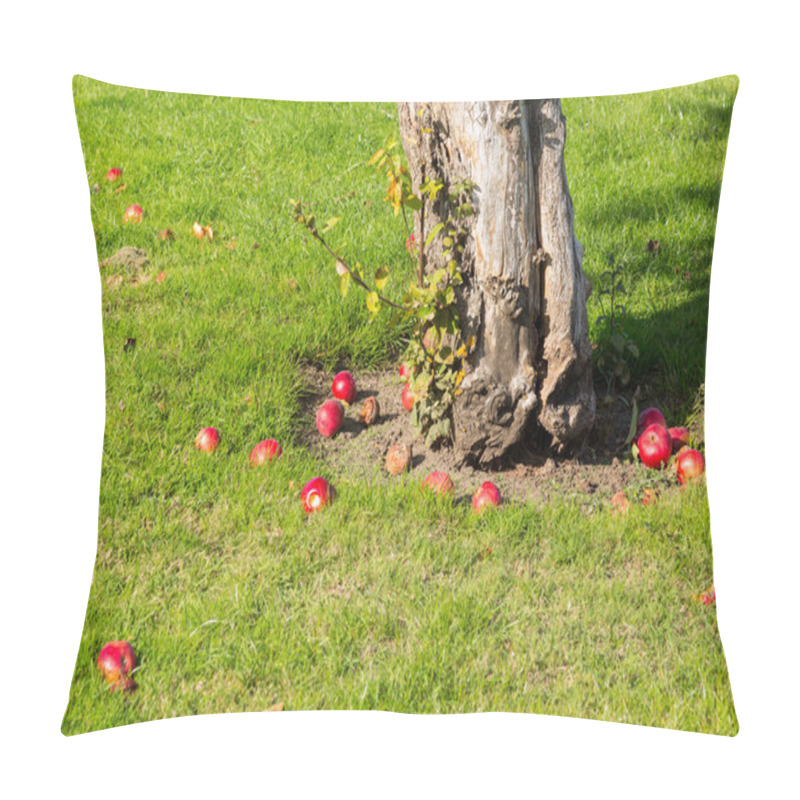 Personality  Red Apples Fall To Ground Around Tree Pillow Covers