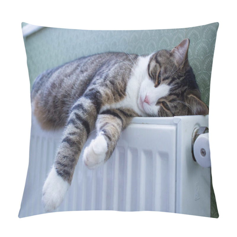 Personality  Furry Striped Pet Cat Lying On Warm Radiator Rests And Relaxes Pillow Covers