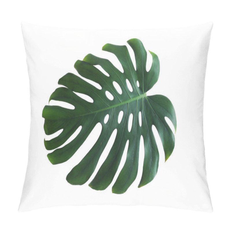 Personality  Green Fresh Monstera Leaf Isolated On White. Tropical Plant Pillow Covers