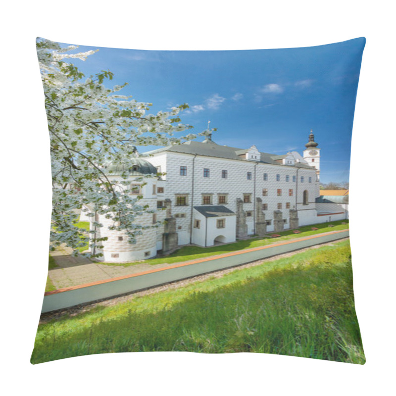 Personality  Czech Republic - Renaissance Castle In Town Pardubice Pillow Covers