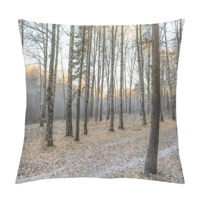 Personality  First Frost, Frost On The Grass, Frost On The Leaves, Frost On The Trees, Frozen Forest Pillow Covers