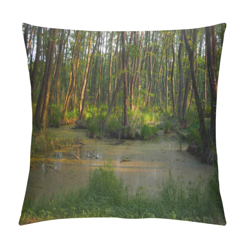 Personality  The Rays Of The Sun Pierce The Thicket Of The Forest.Forest Thickets. Pillow Covers