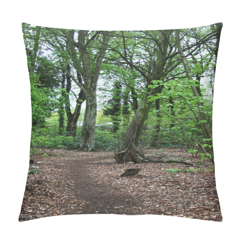 Personality  A Woodland Path Pillow Covers