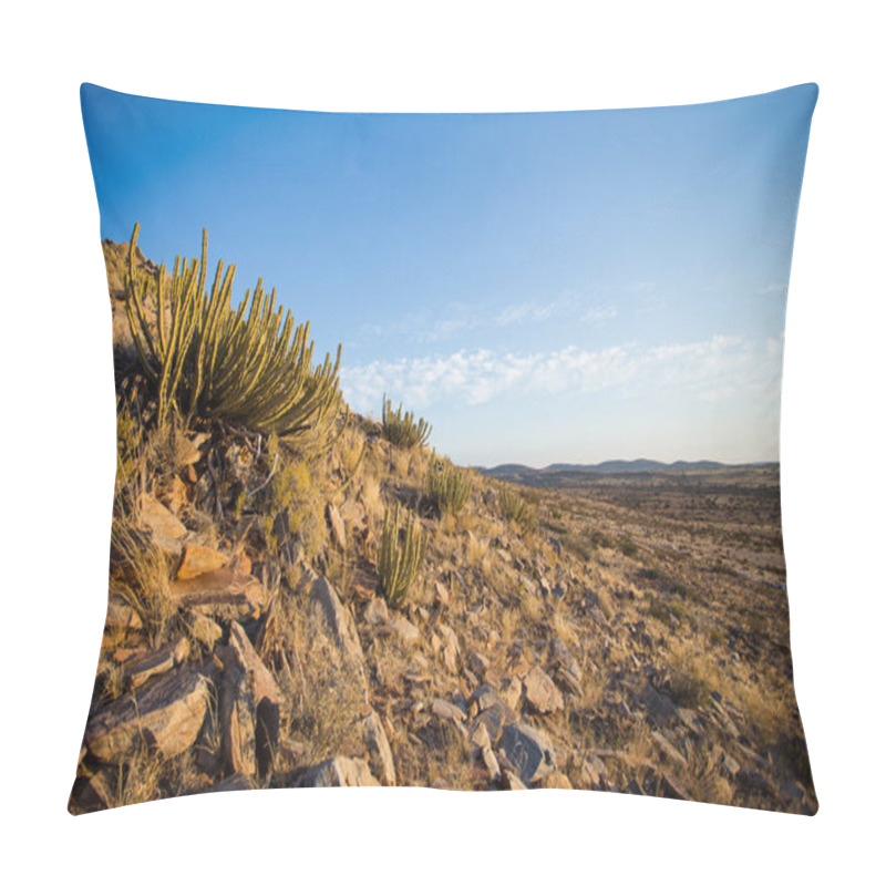 Personality  Panoramic Landscape Photo Views Over The Kalahari Region In South Africa Pillow Covers