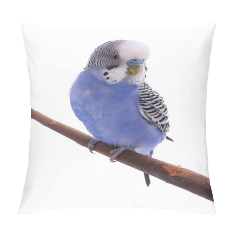 Personality  Bird Pillow Covers