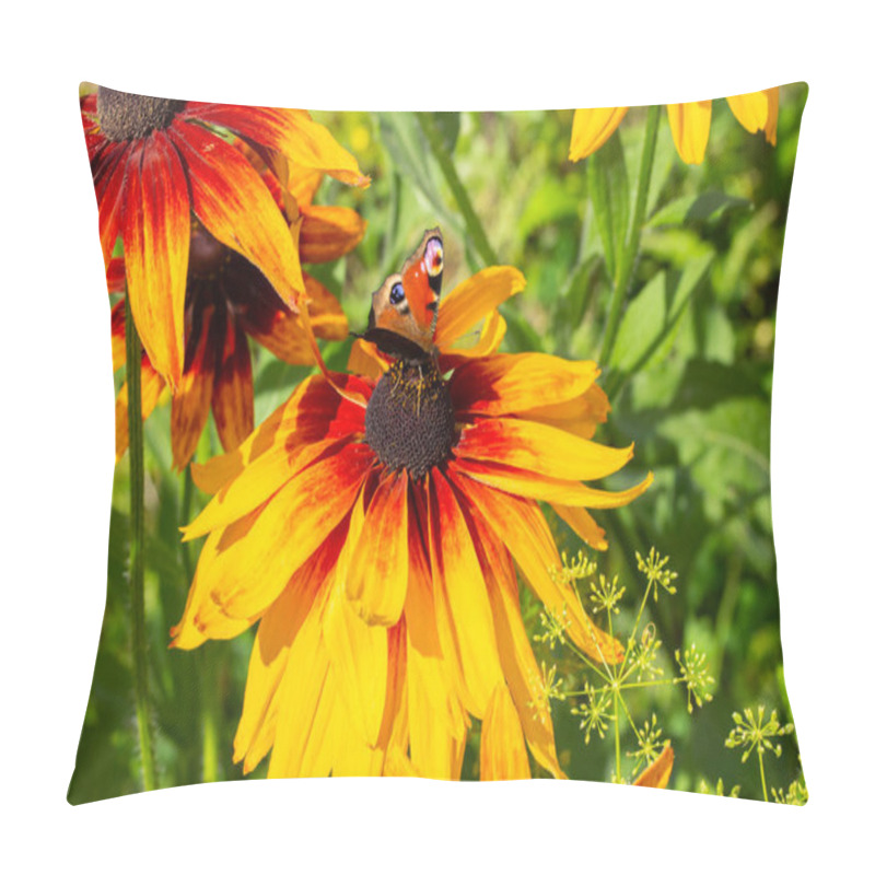 Personality  Black-eyed Susan Rudbeckia Blossom, Yellow Garden Flower Close-up. Dark Middle And Gradient Color Of The Petals. Pillow Covers